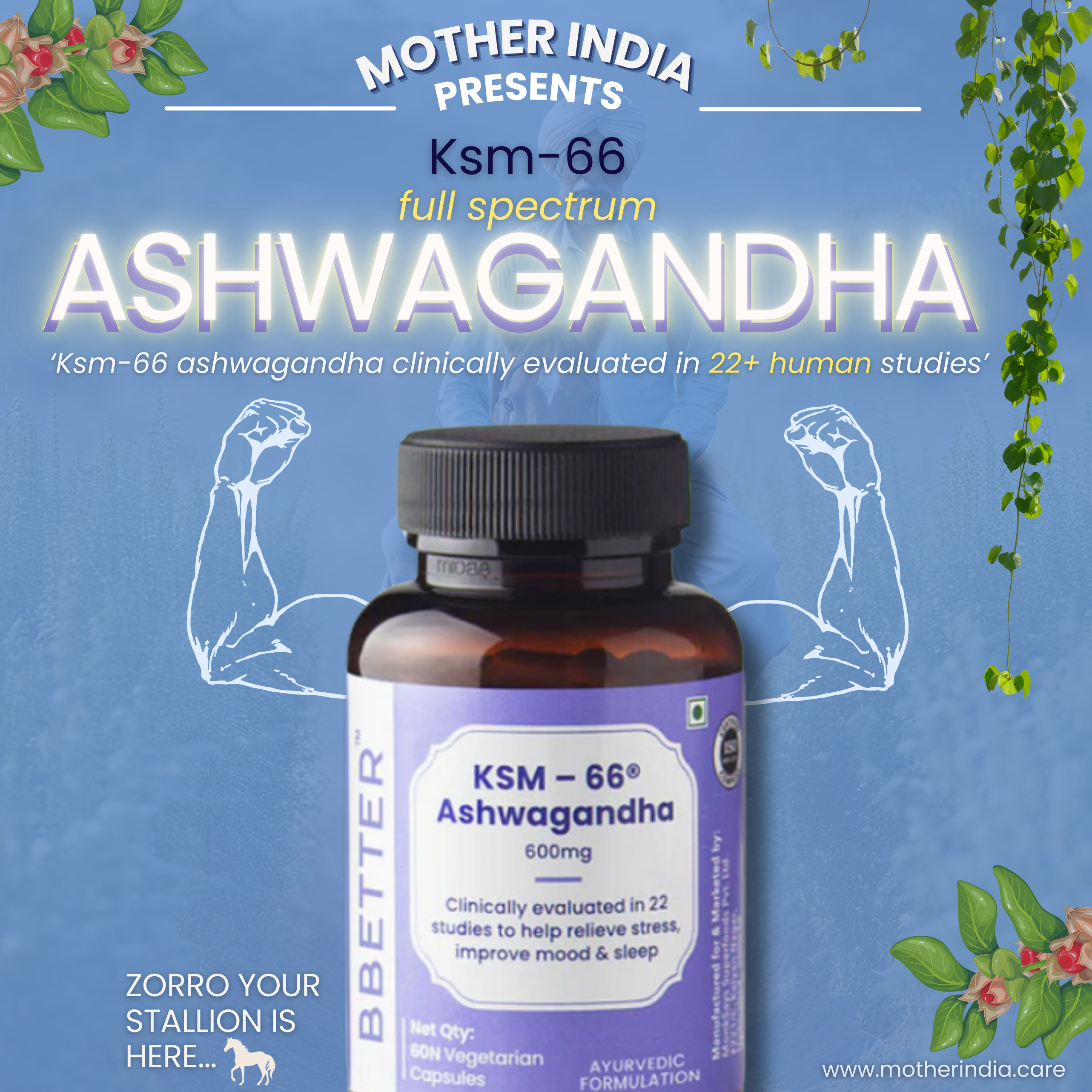 Ashwagandha | Stress and Anxiety Support - Highest Concentration | Full Spectrum Root Extract